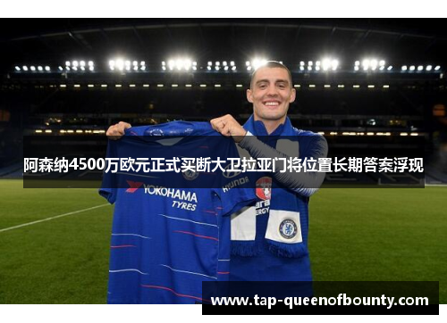 阿森纳4500万欧元正式买断大卫拉亚门将位置长期答案浮现