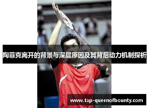 陶菲克离开的背景与深层原因及其背后动力机制探析