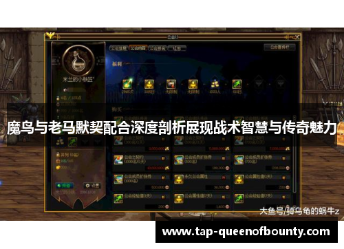魔鸟与老马默契配合深度剖析展现战术智慧与传奇魅力