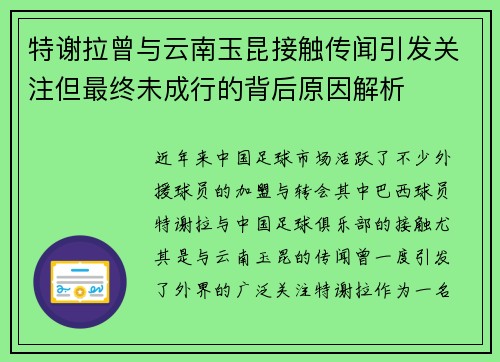 特谢拉曾与云南玉昆接触传闻引发关注但最终未成行的背后原因解析